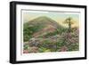 Great Smoky Mts. Nat'l Park, Tn - View of Purple Rhododendron in Bloom, c.1940-Lantern Press-Framed Art Print