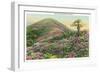 Great Smoky Mts. Nat'l Park, Tn - View of Purple Rhododendron in Bloom, c.1940-Lantern Press-Framed Art Print