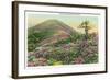 Great Smoky Mts. Nat'l Park, Tn - View of Purple Rhododendron in Bloom, c.1940-Lantern Press-Framed Art Print