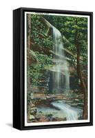 Great Smoky Mts. Nat'l Park, Tn - View of Rainbow Falls, c.1940-Lantern Press-Framed Stretched Canvas