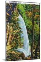 Great Smoky Mts. Nat'l Park, Tn - View of Rainbow Falls on Mt. Le Conte, c.1946-Lantern Press-Mounted Art Print