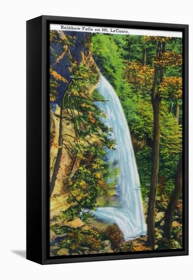 Great Smoky Mts. Nat'l Park, Tn - View of Rainbow Falls on Mt. Le Conte, c.1946-Lantern Press-Framed Stretched Canvas