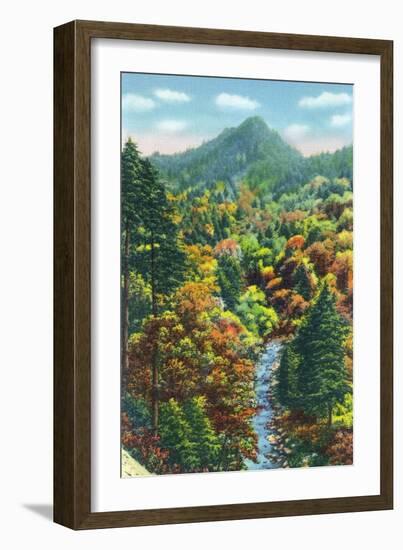 Great Smoky Mts. Nat'l Park, Tn - View of the Chimney Tops, c.1946-Lantern Press-Framed Art Print