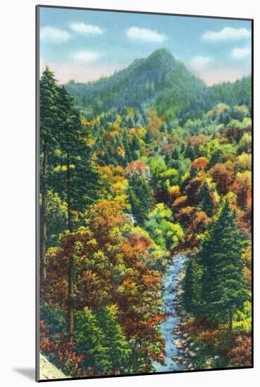 Great Smoky Mts. Nat'l Park, Tn - View of the Chimney Tops, c.1946-Lantern Press-Mounted Art Print