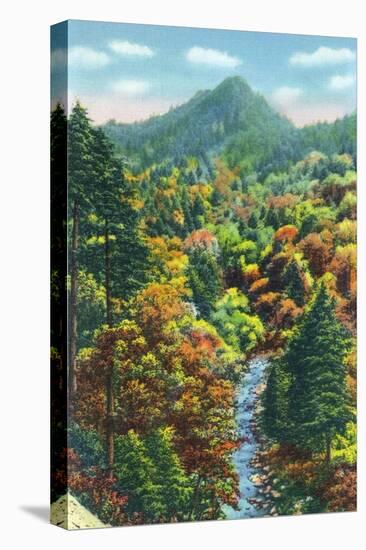 Great Smoky Mts. Nat'l Park, Tn - View of the Chimney Tops, c.1946-Lantern Press-Stretched Canvas