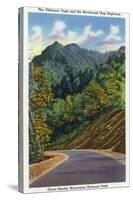 Great Smoky Mts. Nat'l Park, Tn - View of the Chimney Tops from Newfound Gap Highway, c.1941-Lantern Press-Stretched Canvas