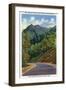 Great Smoky Mts. Nat'l Park, Tn - View of the Chimney Tops from Newfound Gap Highway, c.1941-Lantern Press-Framed Art Print