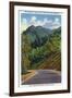 Great Smoky Mts. Nat'l Park, Tn - View of the Chimney Tops from Newfound Gap Highway, c.1941-Lantern Press-Framed Art Print