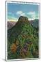 Great Smoky Mts Nat'l Park, TN - View of the Chimney Tops-Lantern Press-Mounted Art Print