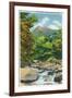 Great Smoky Mts. Nat'l Park, Tn - View of the Le Conte Creek and the Chimney Tops, c.1946-Lantern Press-Framed Art Print