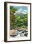 Great Smoky Mts. Nat'l Park, Tn - View of the Le Conte Creek and the Chimney Tops, c.1946-Lantern Press-Framed Art Print