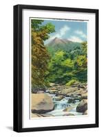 Great Smoky Mts. Nat'l Park, Tn - View of the Le Conte Creek and the Chimney Tops, c.1946-Lantern Press-Framed Art Print