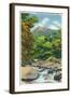 Great Smoky Mts. Nat'l Park, Tn - View of the Le Conte Creek and the Chimney Tops, c.1946-Lantern Press-Framed Art Print