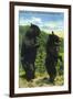 Great Smoky Mts. Nat'l Park, Tn - View of Two Black Bear Standing, c.1938-Lantern Press-Framed Art Print