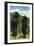 Great Smoky Mts. Nat'l Park, Tn - View of Two Black Bear Standing, c.1938-Lantern Press-Framed Art Print