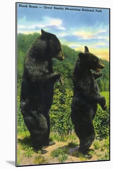 Great Smoky Mts. Nat'l Park, Tn - View of Two Black Bear Standing, c.1938-Lantern Press-Mounted Art Print