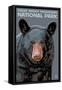 Great Smoky Mts. National Park, TN, Black Bear Up Close-Lantern Press-Framed Stretched Canvas