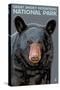 Great Smoky Mts. National Park, TN, Black Bear Up Close-Lantern Press-Stretched Canvas