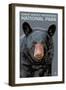 Great Smoky Mts. National Park, TN, Black Bear Up Close-Lantern Press-Framed Art Print