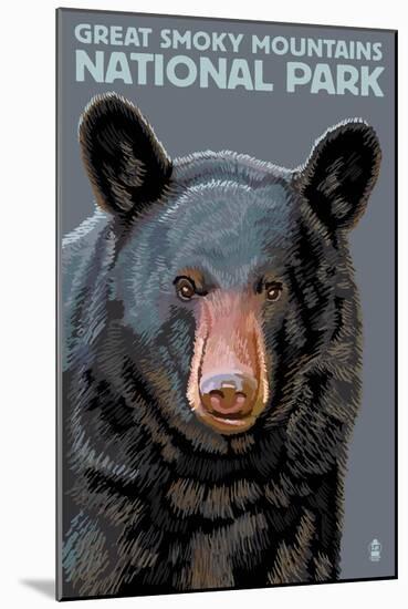 Great Smoky Mts. National Park, TN, Black Bear Up Close-Lantern Press-Mounted Art Print