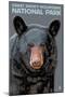 Great Smoky Mts. National Park, TN, Black Bear Up Close-Lantern Press-Mounted Art Print