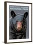 Great Smoky Mts. National Park, TN, Black Bear Up Close-Lantern Press-Framed Art Print