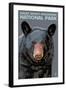 Great Smoky Mts. National Park, TN, Black Bear Up Close-Lantern Press-Framed Art Print