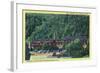 Great Smoky Mts National Park, TN, Exterior View of the New Gatlinburg Inn-Lantern Press-Framed Art Print