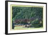 Great Smoky Mts National Park, TN, Exterior View of the New Gatlinburg Inn-Lantern Press-Framed Art Print