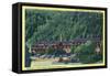 Great Smoky Mts National Park, TN, Exterior View of the New Gatlinburg Inn-Lantern Press-Framed Stretched Canvas