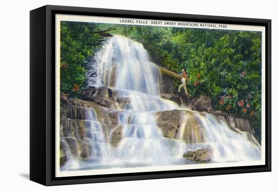 Great Smoky Mts National Park, TN, View of a Hiker Ascending Laurel Falls-Lantern Press-Framed Stretched Canvas
