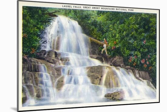 Great Smoky Mts National Park, TN, View of a Hiker Ascending Laurel Falls-Lantern Press-Mounted Art Print