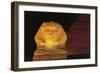 Great Sphinx and Chefren Pyramid Behind at Night-null-Framed Giclee Print