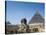 Great Sphinx and Pyramid of Khephren and Menkaure (to left) 4th dynasty, Giza, Egypt-null-Stretched Canvas