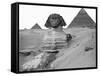 Great Sphinx and Pyramids at Giza-Bettmann-Framed Stretched Canvas