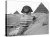 Great Sphinx and Pyramids at Giza-Bettmann-Stretched Canvas