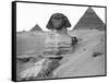 Great Sphinx and Pyramids at Giza-Bettmann-Framed Stretched Canvas