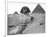 Great Sphinx and Pyramids at Giza-Bettmann-Framed Photographic Print