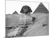 Great Sphinx and Pyramids at Giza-Bettmann-Mounted Photographic Print