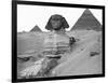 Great Sphinx and Pyramids at Giza-Bettmann-Framed Photographic Print