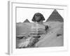 Great Sphinx and Pyramids at Giza-Bettmann-Framed Photographic Print