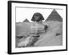 Great Sphinx and Pyramids at Giza-Bettmann-Framed Photographic Print