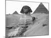 Great Sphinx and Pyramids at Giza-Bettmann-Mounted Photographic Print