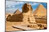 Great Sphinx & Gizeh Pyramids-null-Mounted Art Print