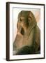 Great Sphinx of Amenemhat II, Ancient Egyptian-null-Framed Photographic Print