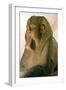 Great Sphinx of Amenemhat II, Ancient Egyptian-null-Framed Photographic Print