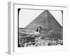 Great Sphinx of Giza, Egypt, C1890-Newton & Co-Framed Photographic Print