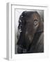 Great Sphinx of Tanis-null-Framed Giclee Print