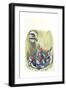 Great Spotted Woodpecker Dendrocopos Major While Carrying Food to Young in Nest-null-Framed Giclee Print