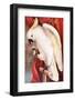 Great Sulphur-Crested Cockatoo by James Whitley Sayer-Fine Art-Framed Photographic Print